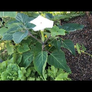 Meet your Posher, Agnieszka